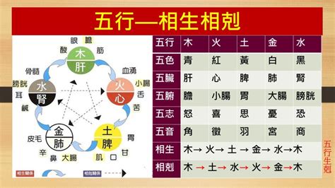 強水 強金|五行生剋關係解說